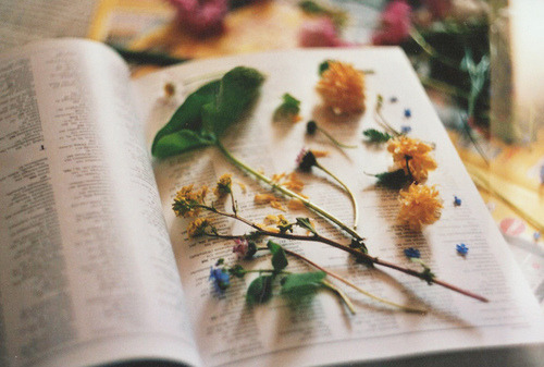 imademymistakesblogme:  R-earrange | via Tumblr su We Heart It. http://weheartit.com/entry/79181471/via/neverminderrrr
