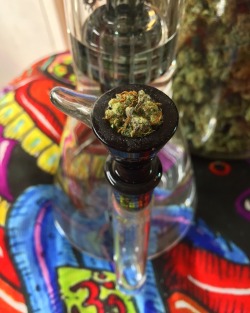 doobiedrewbie:  Who wants greens? ;)