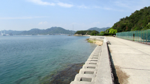 I went to the Rabbit Island (Ôkunoshima) during the Golden Week! My friends and I had not expe