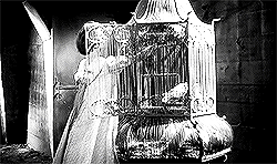 Les Yeux sans Visage  (1960)“I see horrible things. I’m living them!”