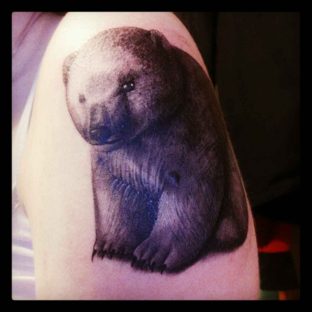 kairaanix:  Did my next tattoo. This time on my arm. Polar teddies are cute, that’s