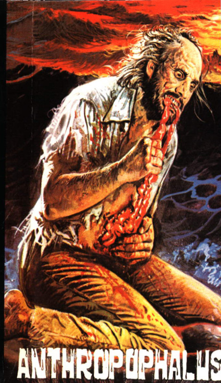 effysolorzano:  horroroftruant:  “Video Nasty” VHS Covers (9 Images)  Video nasty was a colloquial term in the United Kingdom popularized by the National Viewers’ and Listeners’ Association (NVALA) to refer to a number of films distributed