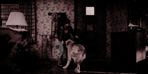 When You’re Running From Demogorgons But Your Dog Missed You All Day Long