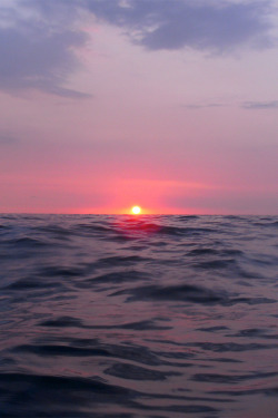 wonderous-world:  Sea Level Sunset by BarryFackler