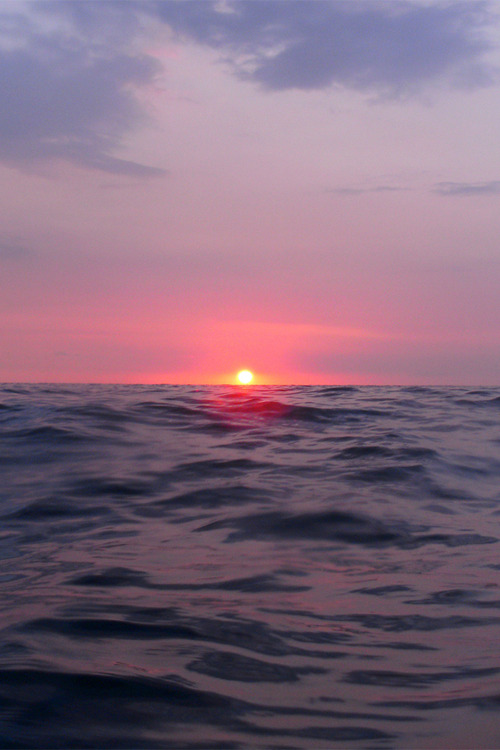 wonderous-world:  Sea Level Sunset by BarryFackler 