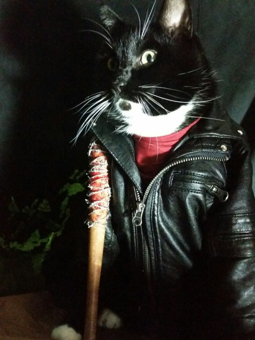 cat-cosplay:   “You can breathe. You can blink. You can cry. Hell, you’re all gonna be doing that.” ~Negan  #TheWalkingDead 