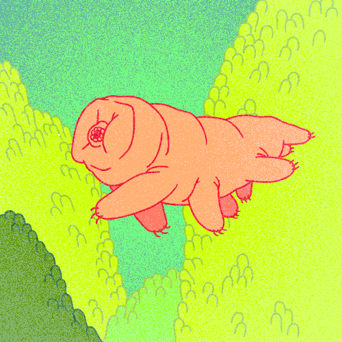 lylaribot:lil tardigrade friend