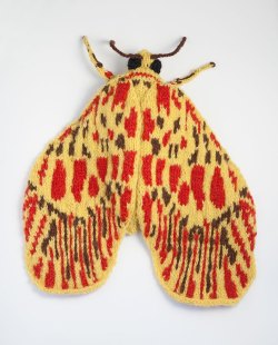 siouxsiestitches:Max Alexander’s knitted moth