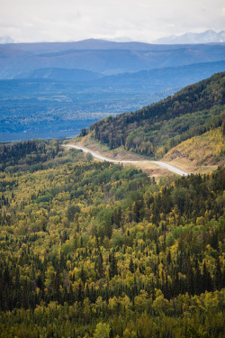 toofarnorth:  Alaska Highway past Steamboat - toofarnorth 