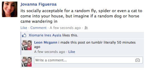 toocooltobehipster:  toocooltobehipster:  toocooltobehipster:  its socially acceptable