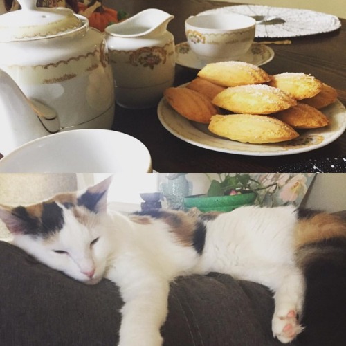 This is the beauty of a lazy fall break morning. #wemademadeleines #andtea #withasleepykitty #cuzwer