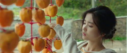 xbethelight:“If dried persimmons taste this good, it means it is deep into winter.” 