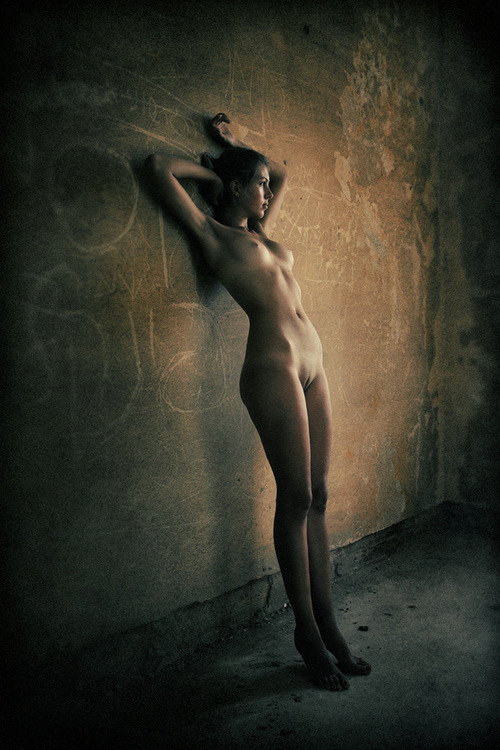 ricardowagner:  ricardowagner