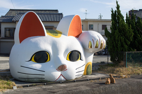 ileftmyheartintokyo:Toko-Nyan by shooter2828 on Flickr.