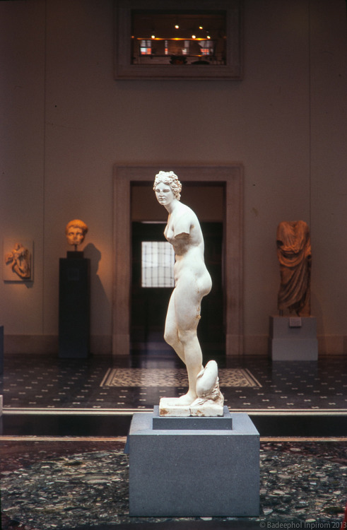 italdred:“Marble statue of Aphrodite” Metropolitan Museum of Art (by setpower1)