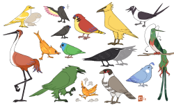 emlan:  some birbs (not really 100% to scale)