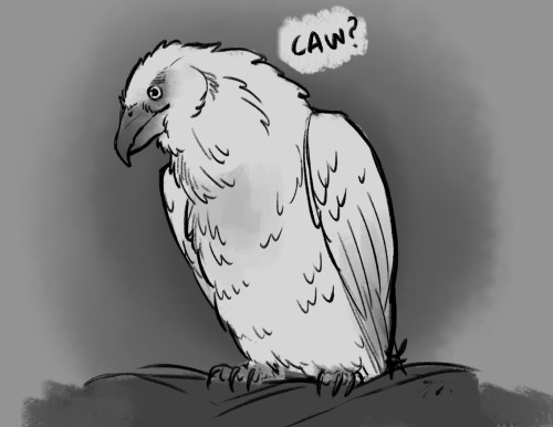 macynell:serpentsshipmate:Freya the raven does not approve of Cullen. Also, she’s very good at mimic