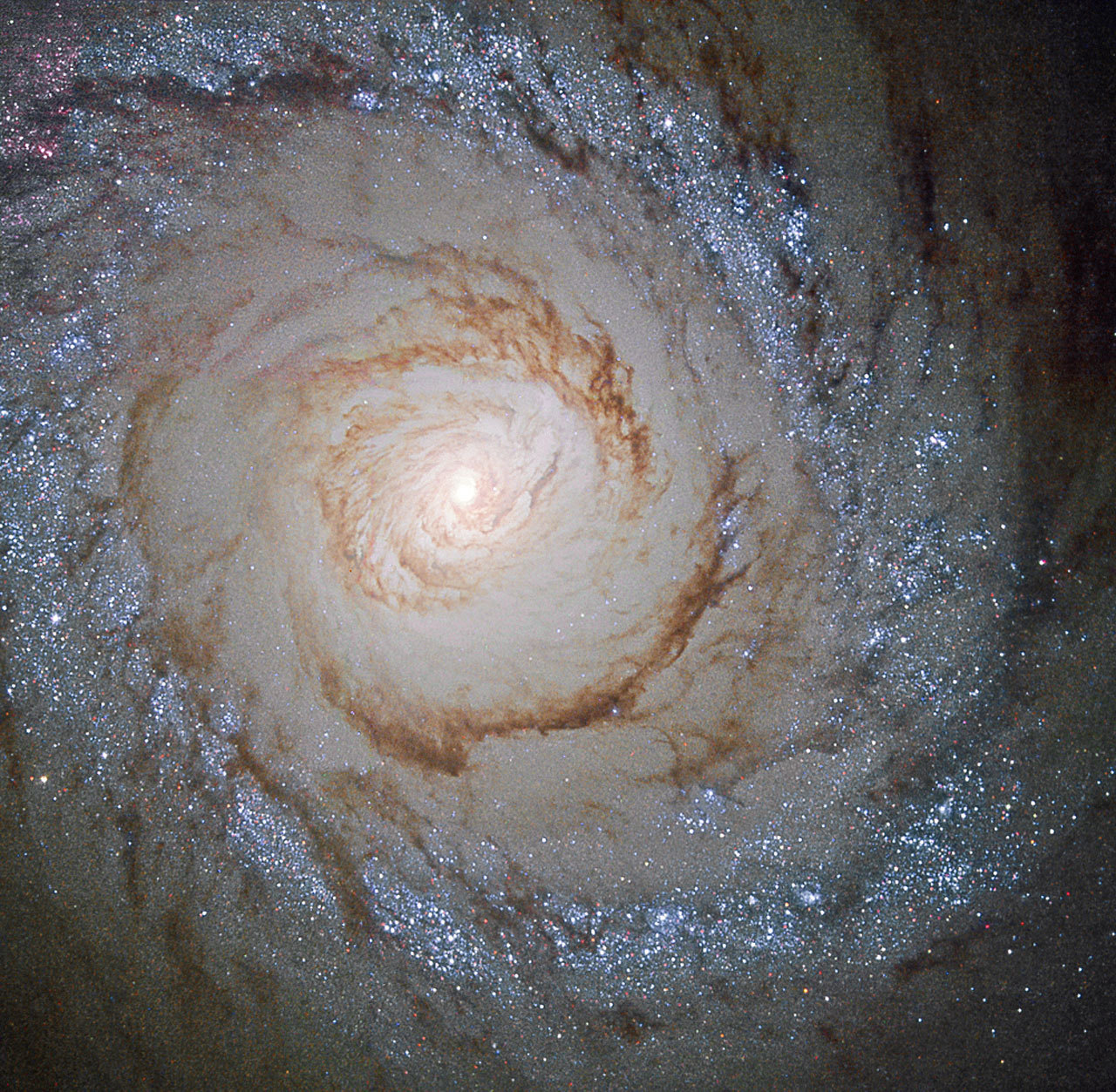 arsetculture:  A Hubble View of Starburst Galaxy Messier 94 via NASA http://ift.tt/203ss2Y
