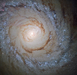 ohstarstuff: M94: Bursting With StarsLocated about 16 million light-years away, this new Hubble image shows the sparkling galaxy Messier 94. You’ll notice the bright ring (or starburst ring) around Messier 94 where new stars are forming at a high rate.