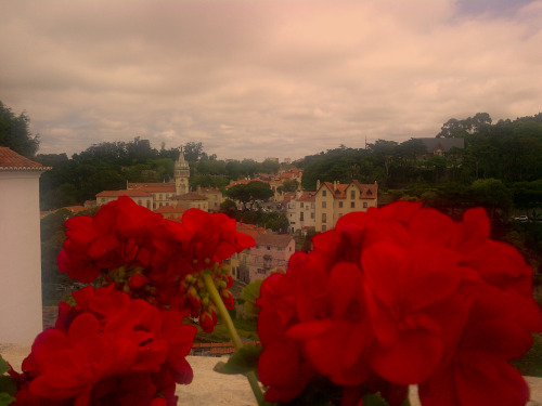 tepitome: Lisbon, Portugal. 2016.