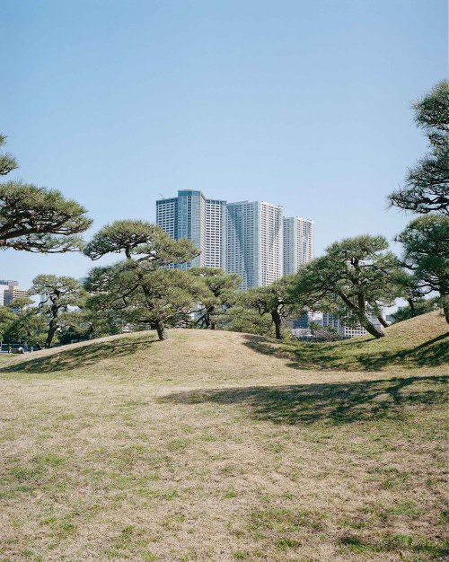 Hamarikyu Gardens.