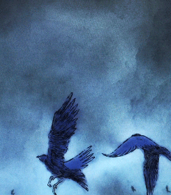 katahane:  Zankyou no Terror / Ending / 誰か、海を。 