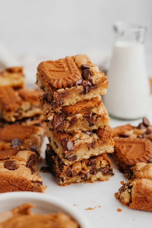 Biscoff Blondies with Chocolate Chips