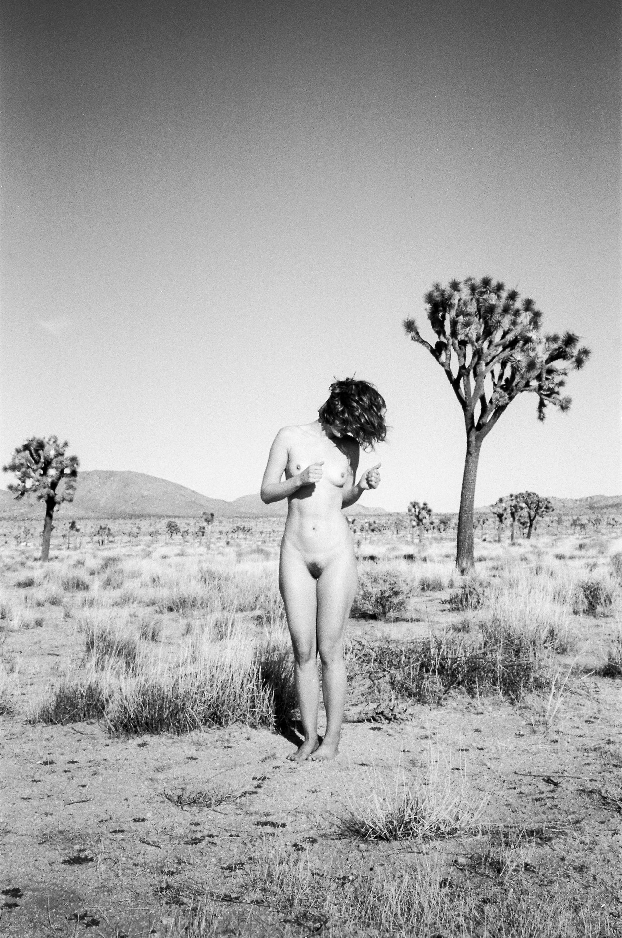 art-t-nyc: Joshua Tree. Lo-res 35mm film scan. 