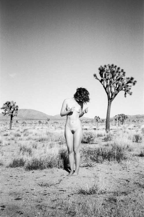 Porn Pics art-t-nyc: Joshua Tree. Lo-res 35mm film