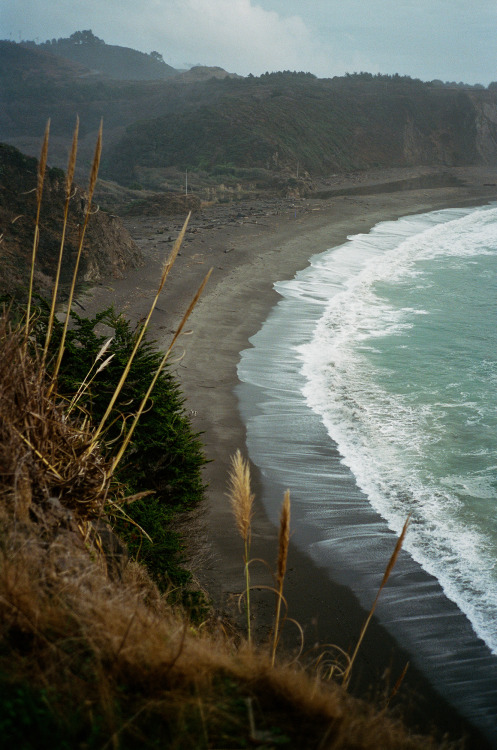 niravpatelphotography:Elk, CA. 