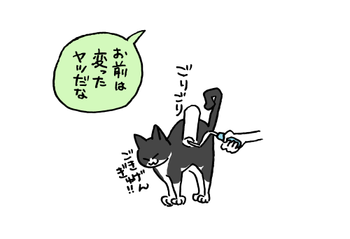ginngetsu:  何をお気に召したのやら… 