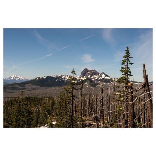 Marion Lakes/Mt. Jefferson Wilderness | Day 2 | 18 miles | 6/23/20 •  After a restless sleep at Wasc