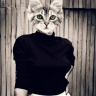 lottie-littlejohn: