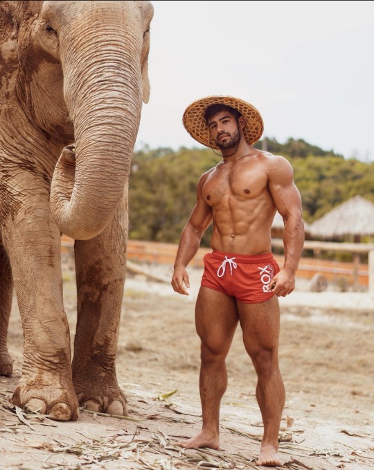 nohomasseur:Dan Tai in Sri Lanka