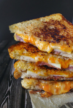 verticalfood:  Prosciutto, Apple &amp; Gruyere Grilled Cheese