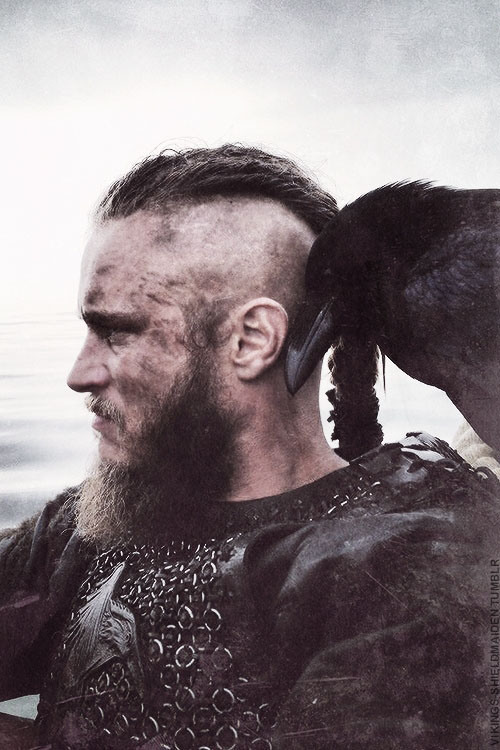 coelasquid:  What a handsome picture