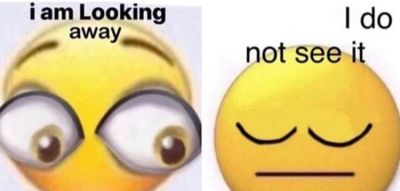 2 panels. the first has an emoji with exaggerated eyes and says "I am looking away." The second has an emoji with eyes closed and says "I do not see it"