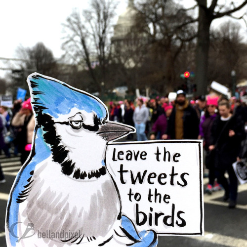 My miniature birb marchers from the Women’s March on Washington DC. Bird made with bristol board, in