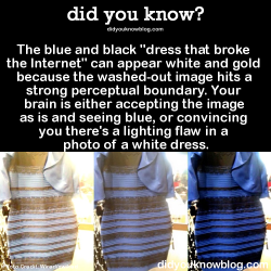 onlyblackgirl:  samaelcarver:did-you-kno:Ok tumblr, what color is this dress?  Your brain uses a lot of visual tricks to compensate for light and shadow in order to determine the shade of an object. The perceived colors surrounding that object can alter