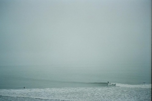 shakasandsinglefins:  🐬 #leica #35mm (at California)https://www.instagram.com/p/BqDL7tPnkCz/?utm_source=ig_tumblr_share&igshid=9sicpzsp72vu