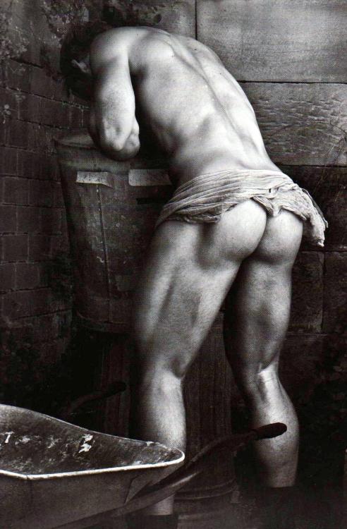 Sex malesinphotos:  ph. Paul Freeman  pictures