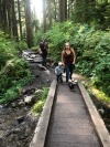 Finally got back out to Sol Duc falls, been talking about it anytime I see it pop