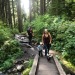 Finally got back out to Sol Duc falls, been talking about it anytime I see it pop