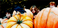 daenerys-targaryen-archive:  get to know me meme: 1/10 movies ♦ the harry potter