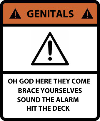 abakkus:  hybridic:  theweepyfox:  geometricdeathtrap:  So I needed a way to alert the class that I was going to be showing graphic pictures of genitals on my presentation so I decided that putting this on the slide before would work   I want this on