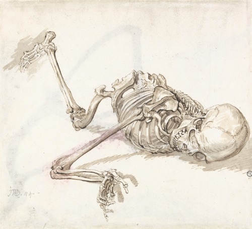 Verso Skeleton (Early 19th century - Graphite, ink, watercolor) - James Ward