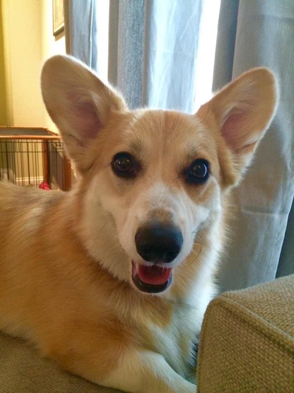 ralphadog:  &ldquo;Hi, Mahm.&rdquo;