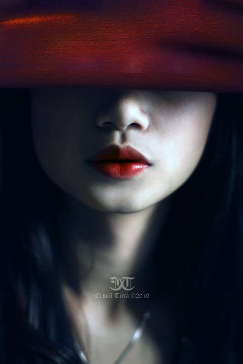 xaxmanx:  &amp;quot;Red Dahlia&amp;quot; by erwintirta  A