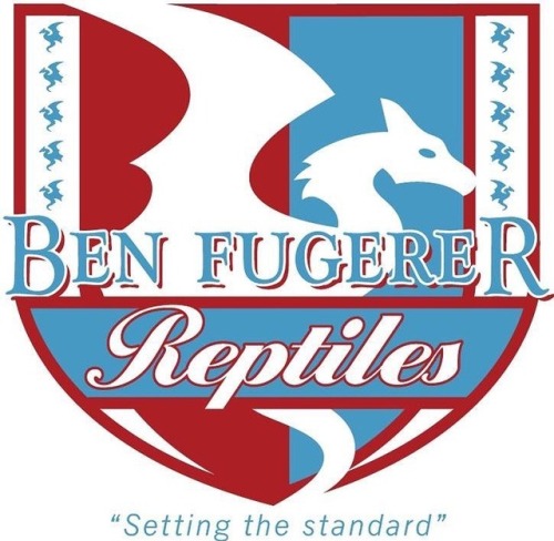 Logo I had done for Ben Fugerer.  #reptilebreeder #snakebreeder #balllpythonbreeder #ballpythonsofig