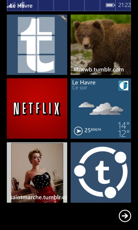 Tumblrviewer For Windows Phone